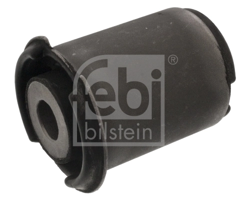 Mounting, control/trailing arm